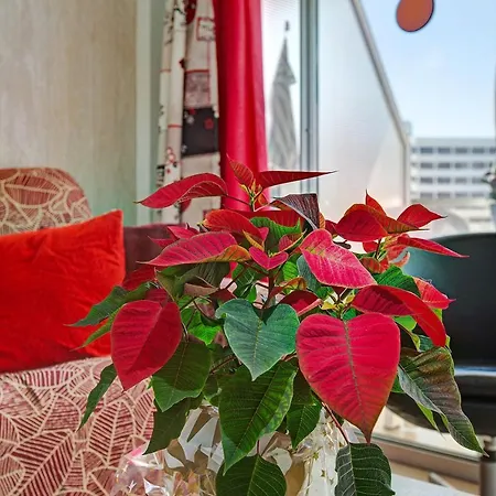 Apartman Be Room Elefantes *